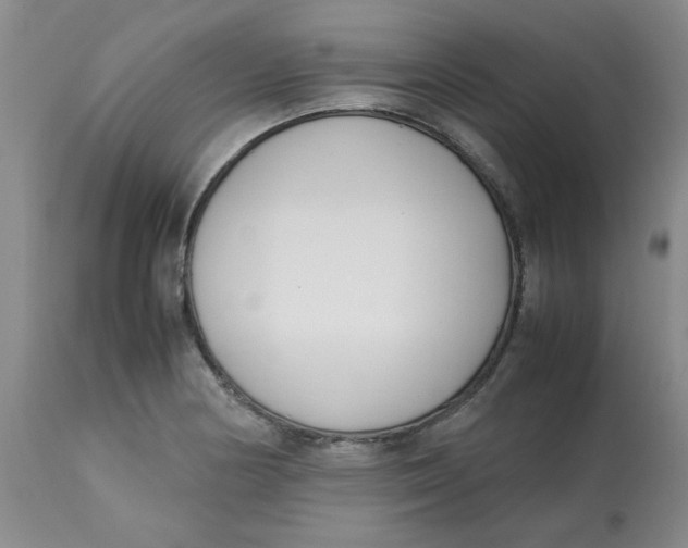 X0000113151178200909251321