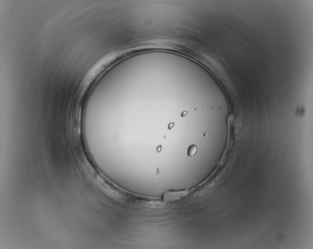 X0000113151180200909251321