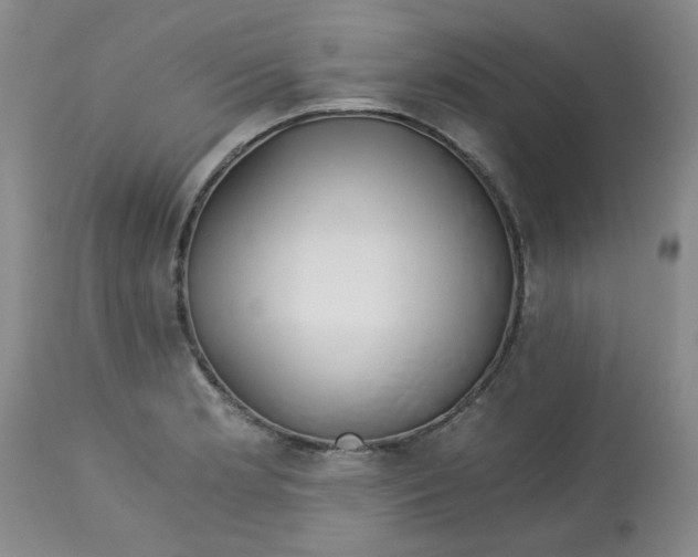 X0000113151181200909251321