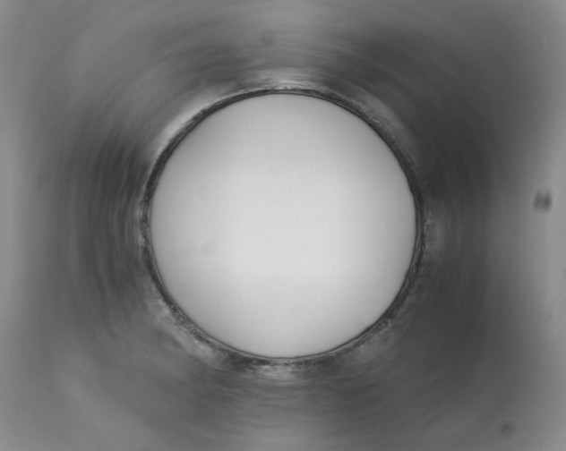 X0000113151182200909251321