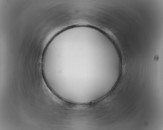 X0000113151183200909251321