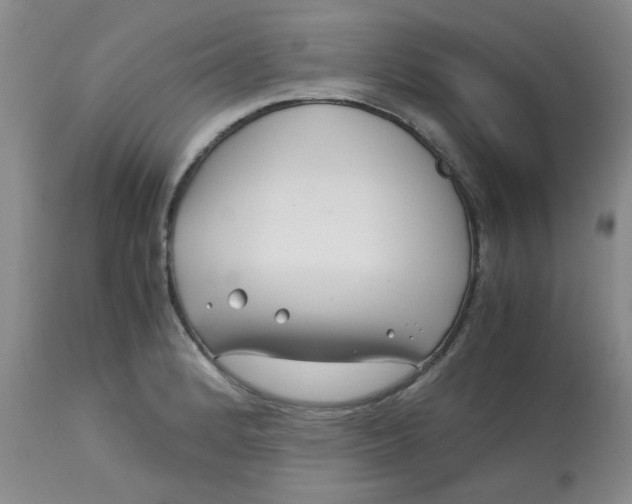 X0000113151184200909251321