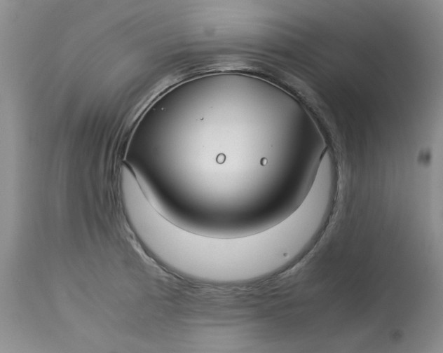 X0000113151185200909251321