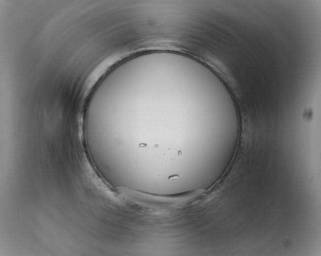 X0000113151188200909251320