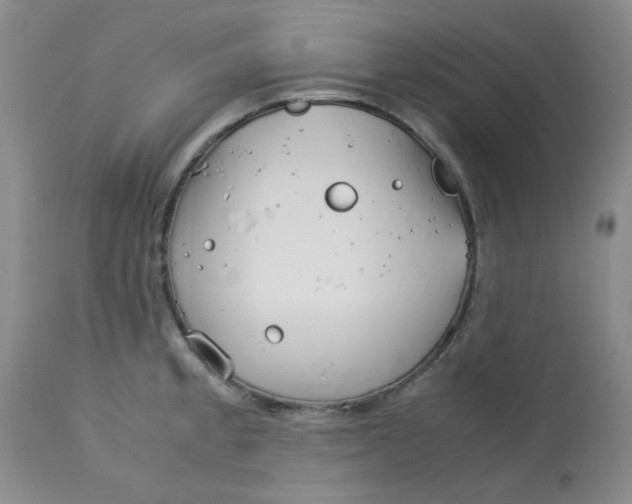 X0000113151189200909251320