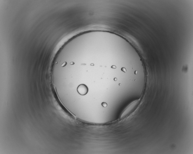 X0000113151192200909251320