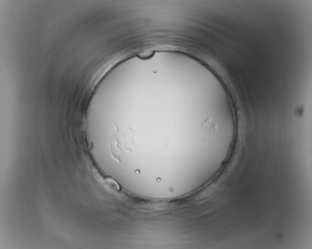 X0000113151193200909251320