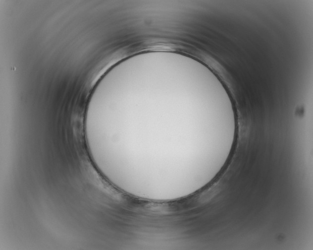 X0000113151194200909251320