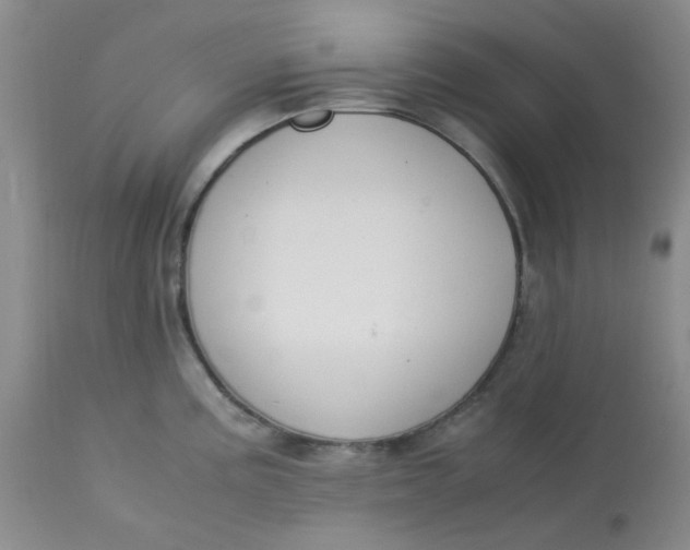 X0000113151195200909251320