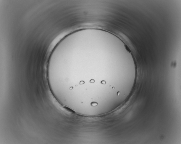 X0000113151196200909251320