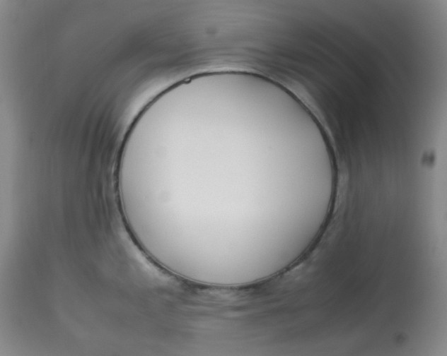 X0000113151197200909251320