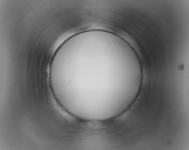 X0000113151198200909251320