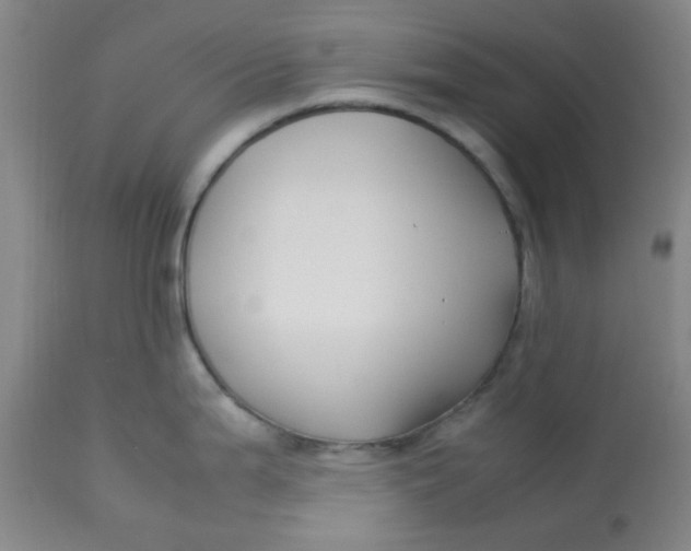 X0000113151199200909251320