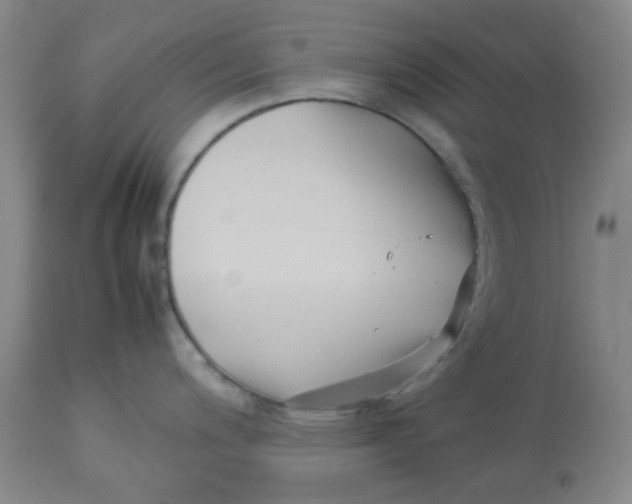 X0000113151200200909251320