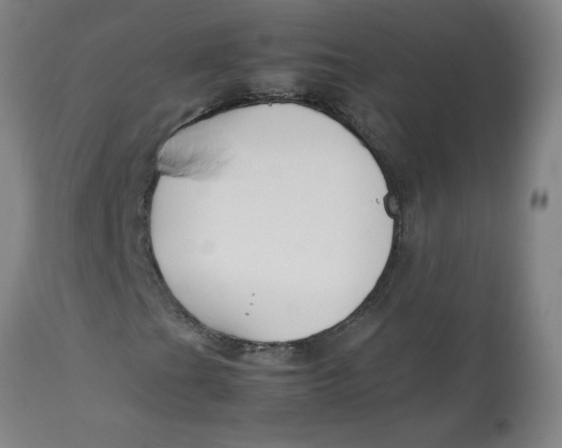 X0000113151201200909251320