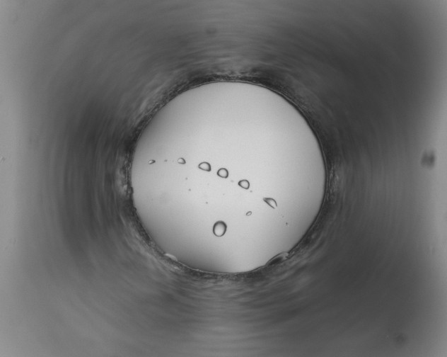 X0000113151202200909251320