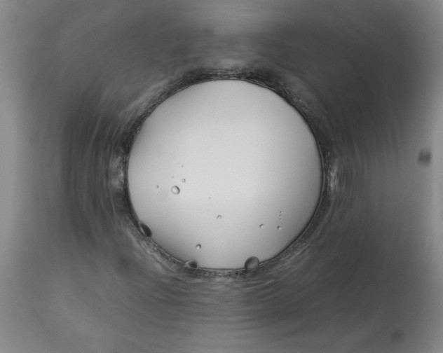 X0000113151204200909251320