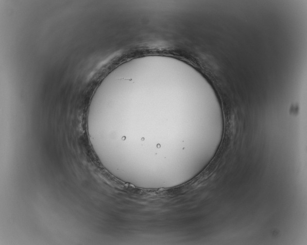 X0000113151205200909251320