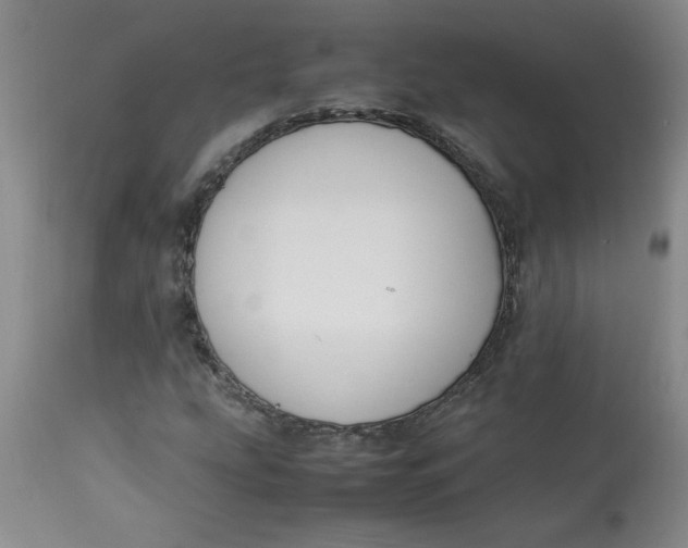 X0000113151207200909251320