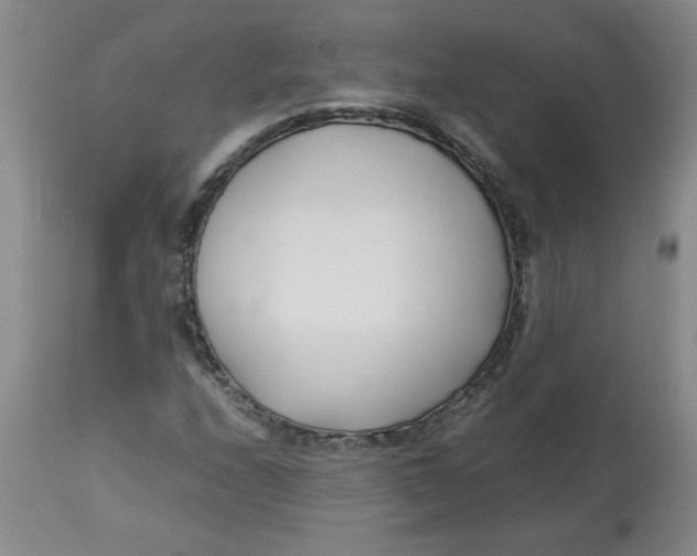 X0000113151208200909251320