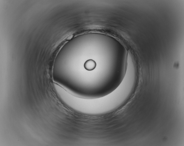 X0000113151209200909251320