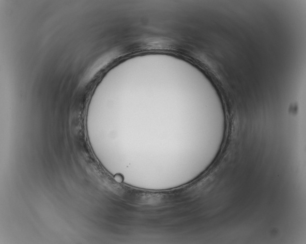 X0000113151211200909251320