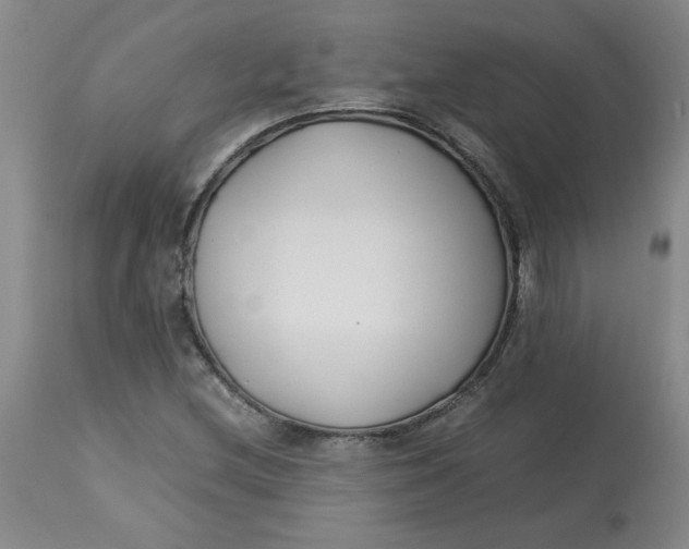 X0000113151212200909251320