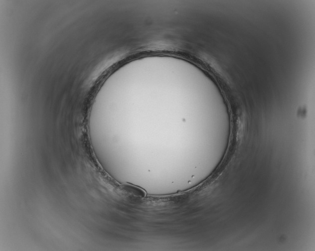 X0000113151213200909251320