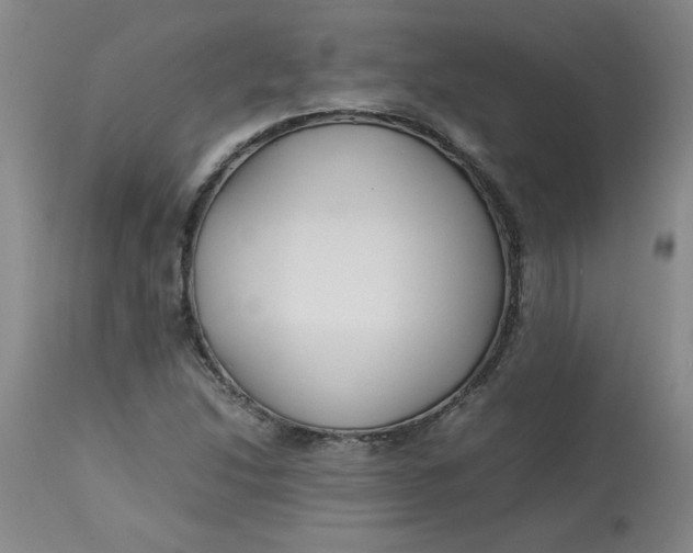 X0000113151214200909251320