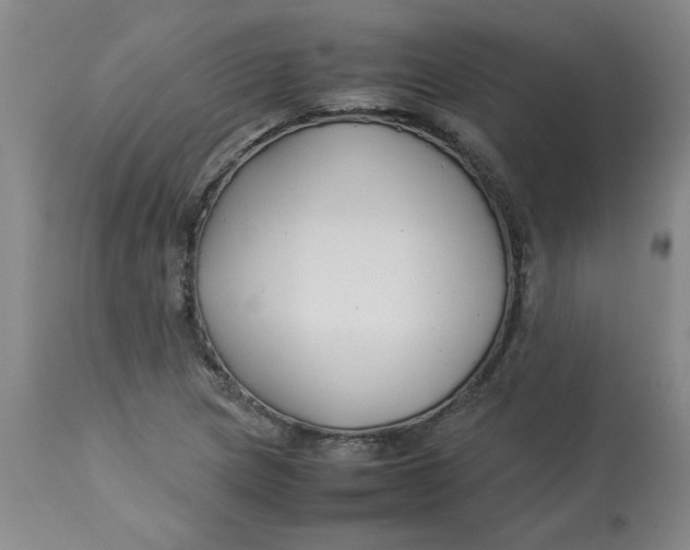 X0000113151217200909251320