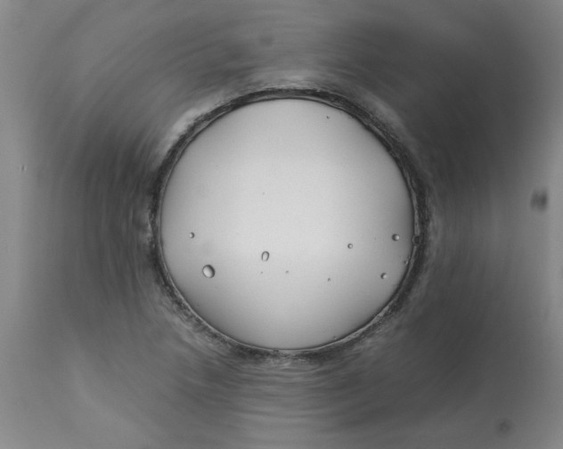 X0000113151218200909251320