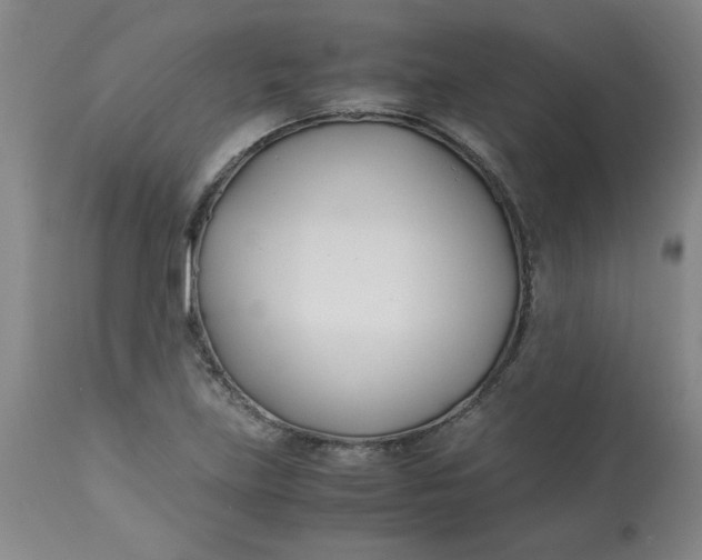 X0000113151219200909251320