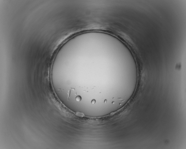 X0000113151220200909251320