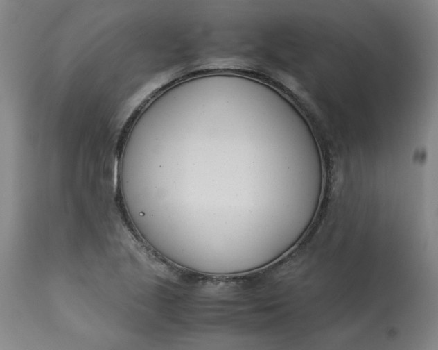 X0000113151221200909251320