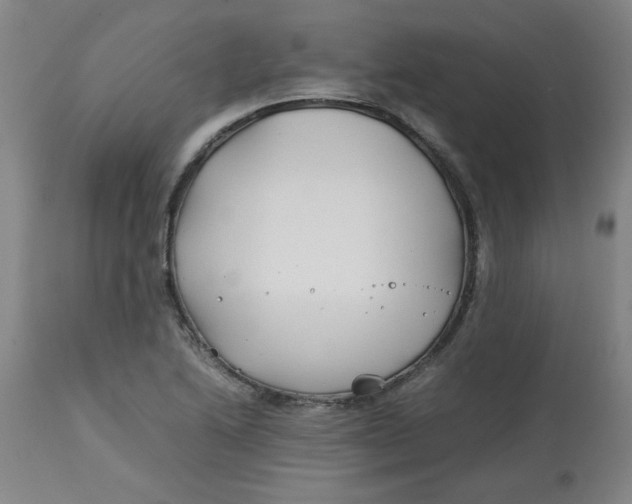 X0000113151222200909251320