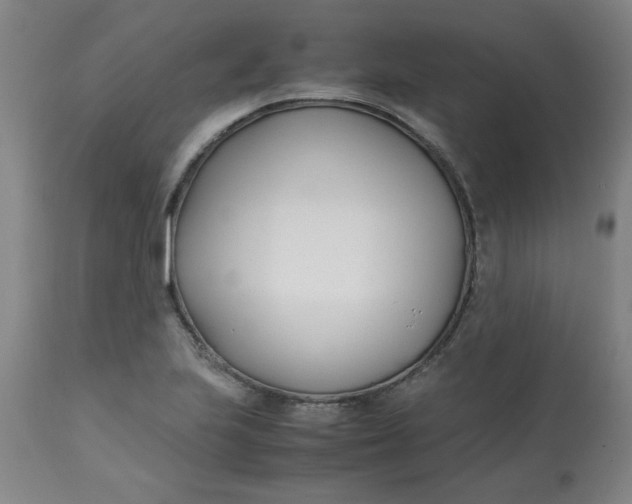 X0000113151223200909251320