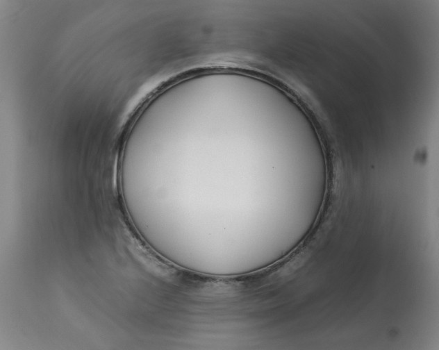 X0000113151224200909251320