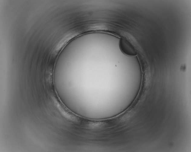 X0000113151225200909251320