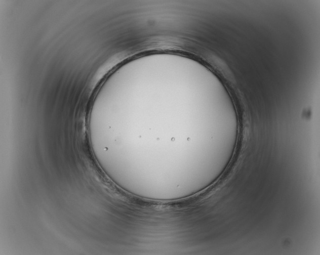 X0000113151226200909251320