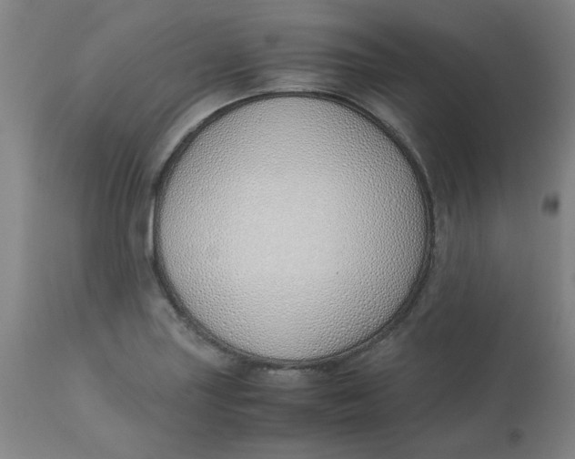 X0000113151227200909251320