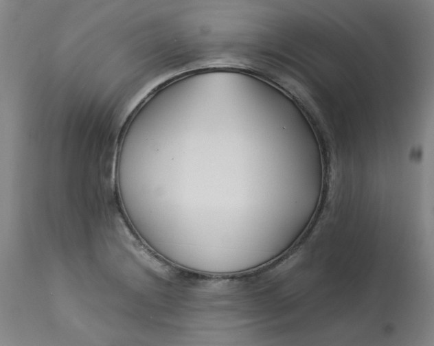 X0000113151228200909251320