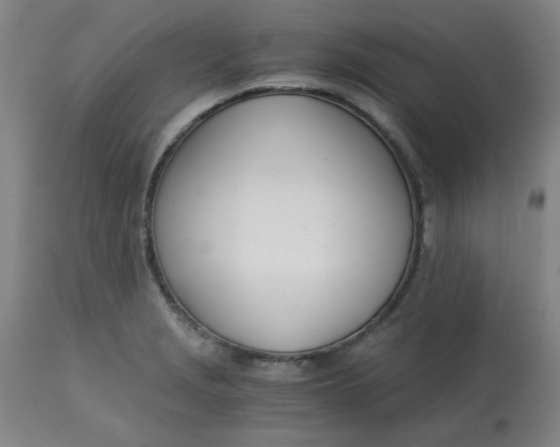 X0000113151229200909251320