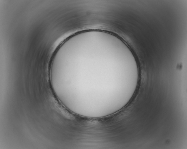 X0000113151230200909251320