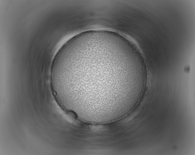 X0000113151231200909251320