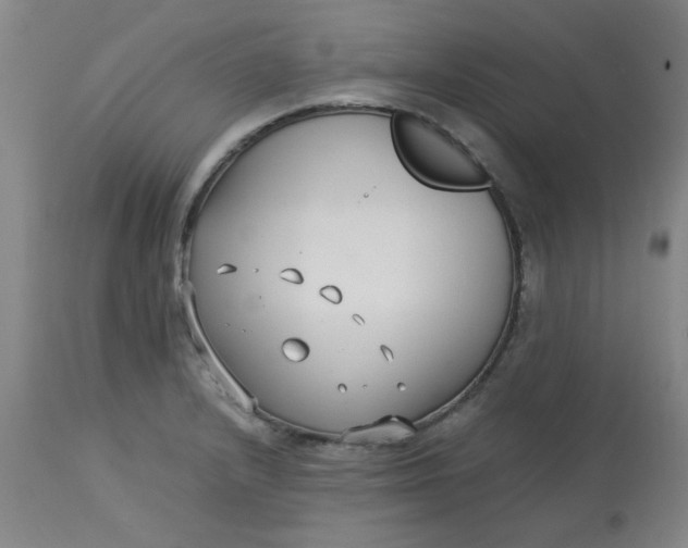 X0000113151232200909251320