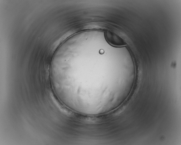 X0000113151233200909251320