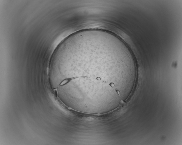 X0000113151234200909251320