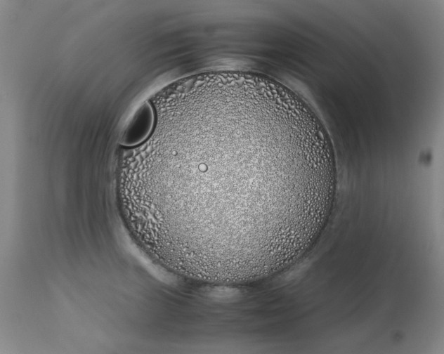 X0000113151235200909251320