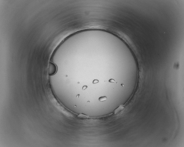 X0000113151236200909251320