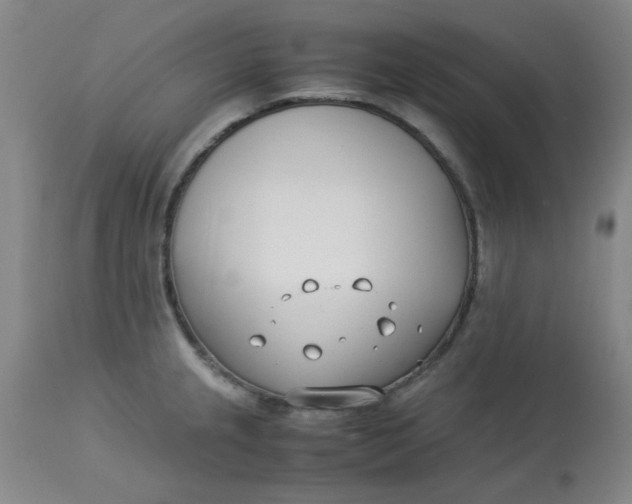 X0000113151237200909251320